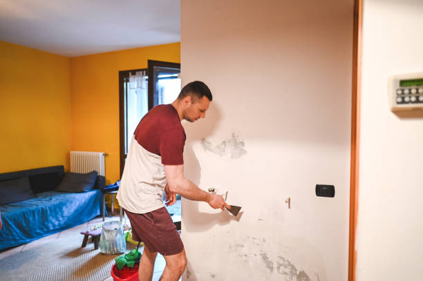 Mold Testing and Removal in Fruit Heights, UT